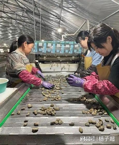 ”赋能商家拼多多为商家长期护航K8凯发·国际网站砸下“千亿