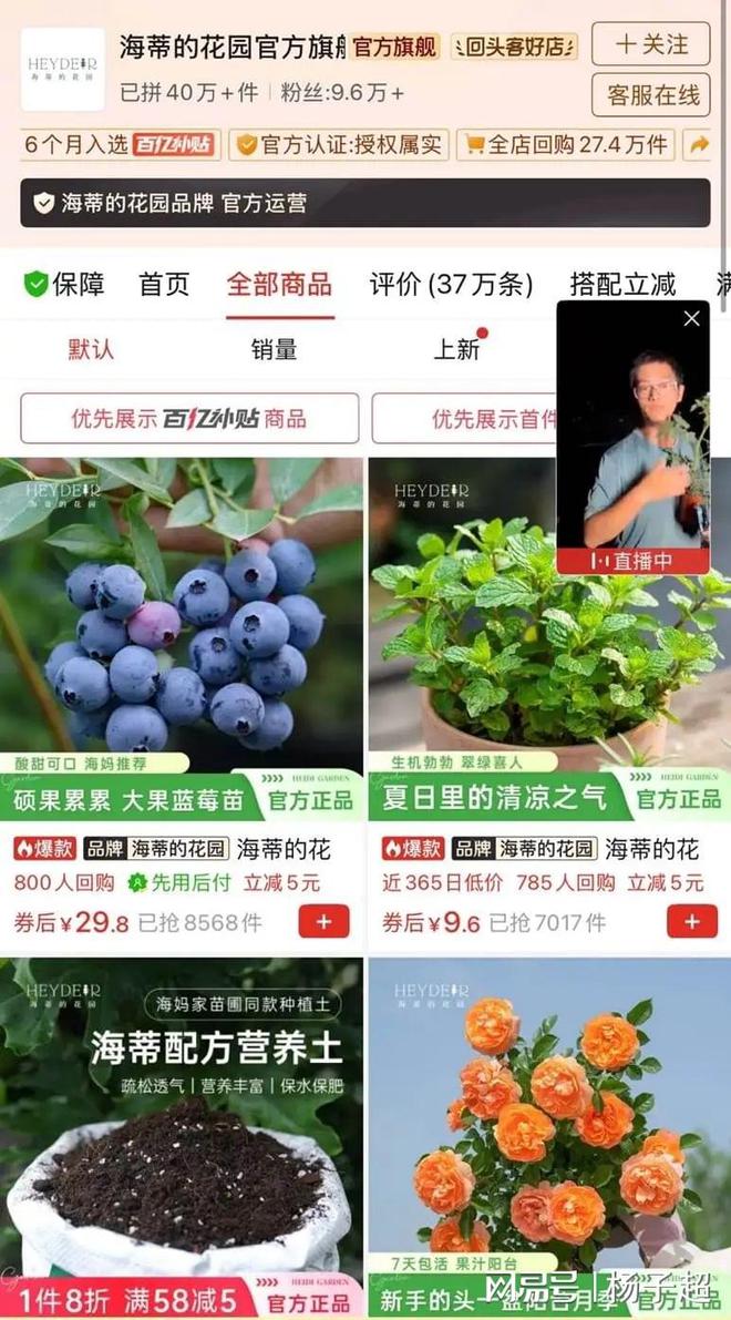 ”赋能商家拼多多为商家长期护航K8凯发·国际网站砸下“千亿(图2)
