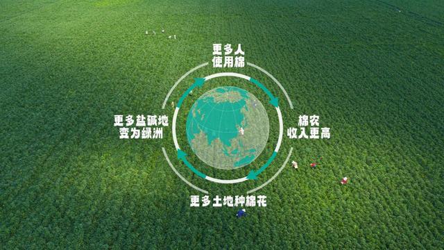 Goose加拿大鹅“共话青皑”沉浸式体验之旅 于成都开启传承、文化与自然的对话K8凯发时尚WEEKLY|一朵棉花改变世界 全棉时代溯源纪录片上线Canada(图3) Goose加拿大鹅“共话青皑”沉浸式体验之旅 于成都开启传承、文化与自然的对话K8凯发时尚WEEKLY|一朵棉花改变世界 全棉时代溯源纪录片上线Canada(图3)