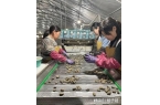 ”赋能商家拼多多为商家长期护航K8凯发·